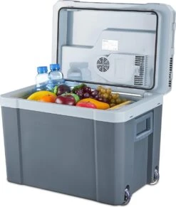 MOA - Thermo-elektrische Koelbox - Met Verwarmingsfunctie - 12V En 230V - 40 Liter - ECW40