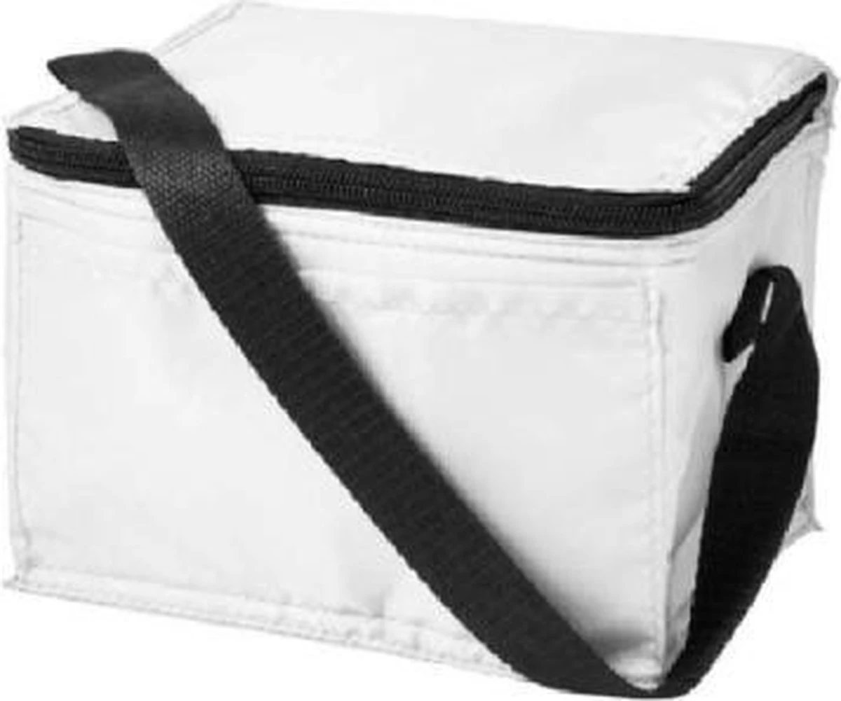 Koeltas - Mini Koeltas - Geschikt Voor 6 Blikjes - Compact Koeltas + 2 Koelelementen - Rheme - Afbeelding 4