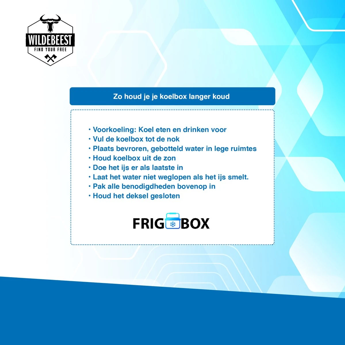 Koelbox Met ECO Modus Voor Auto & Camping Warm En Koud 32L - Frigobox Elektrisch 32 Liter Met 12v 230 Volt - Verkoelt En Verwamt - MiniBar - Mini Koelkast - Afbeelding 8