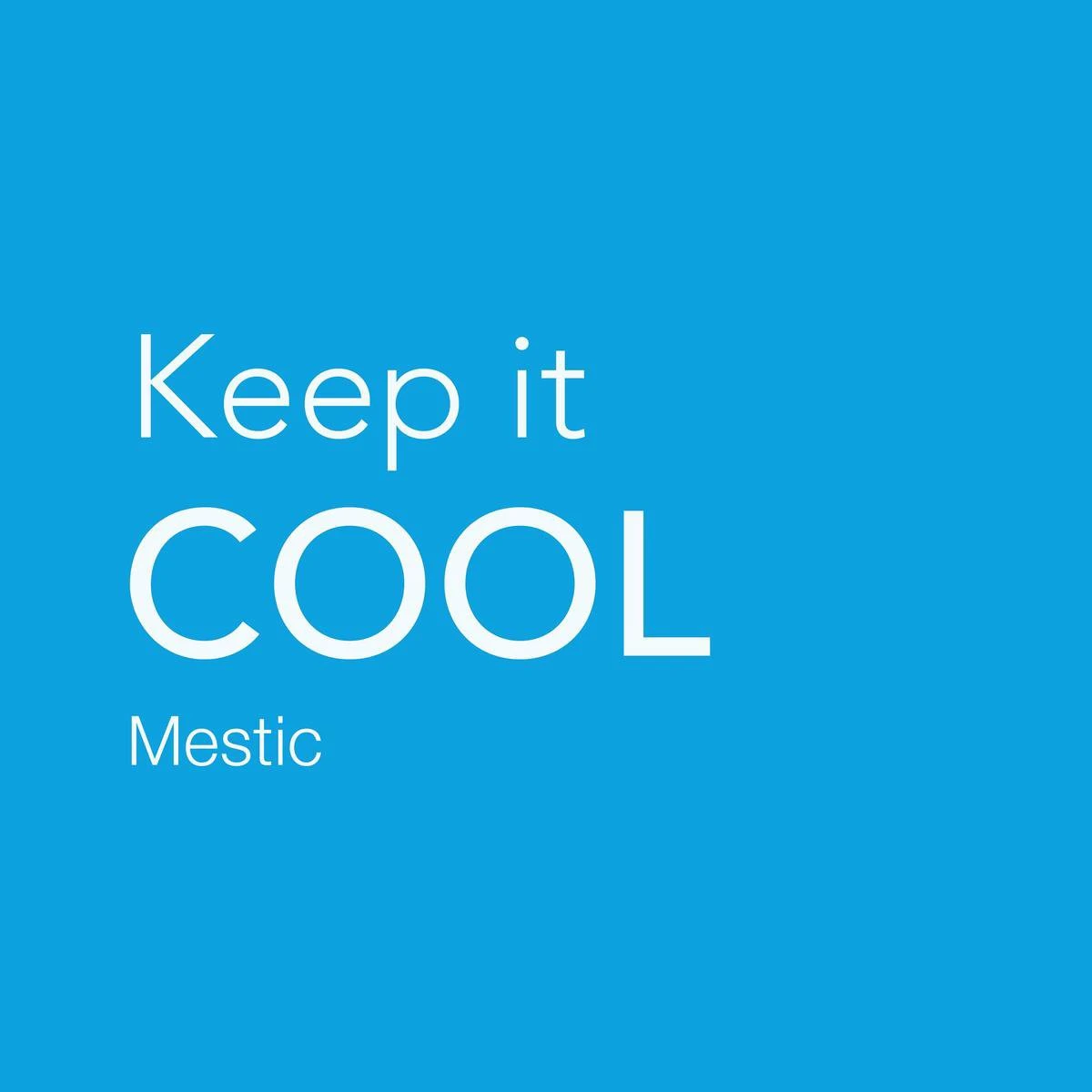 Mestic MCC-35 Koelbox Compressor - AC/DC - 35L - Afbeelding 7