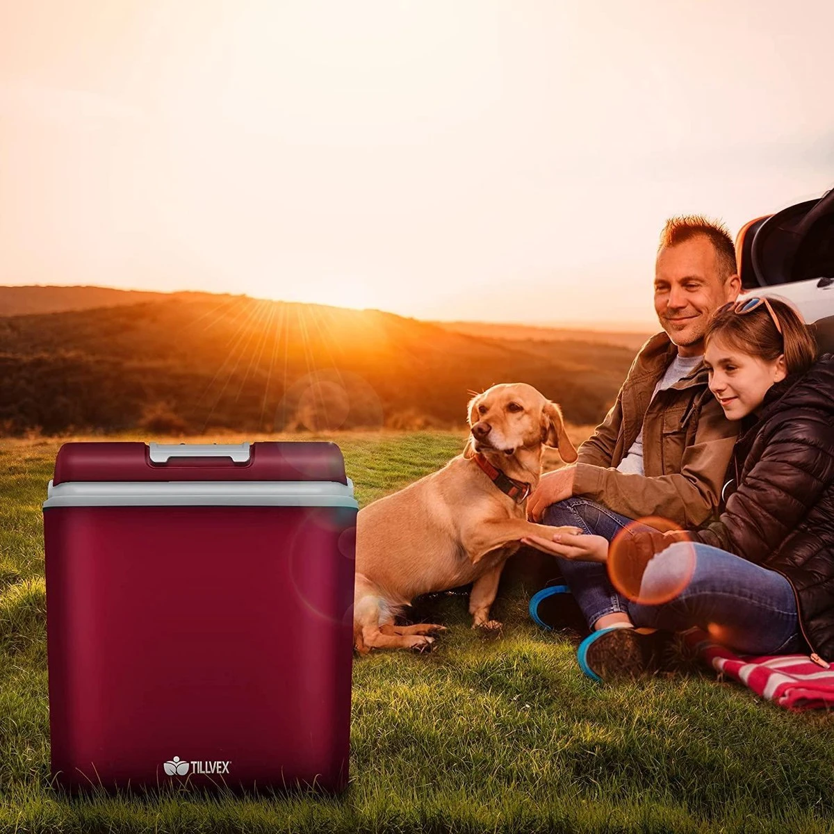 Tillvex- Koelbox, Coolbox, 24 Liter, Rood - Afbeelding 4