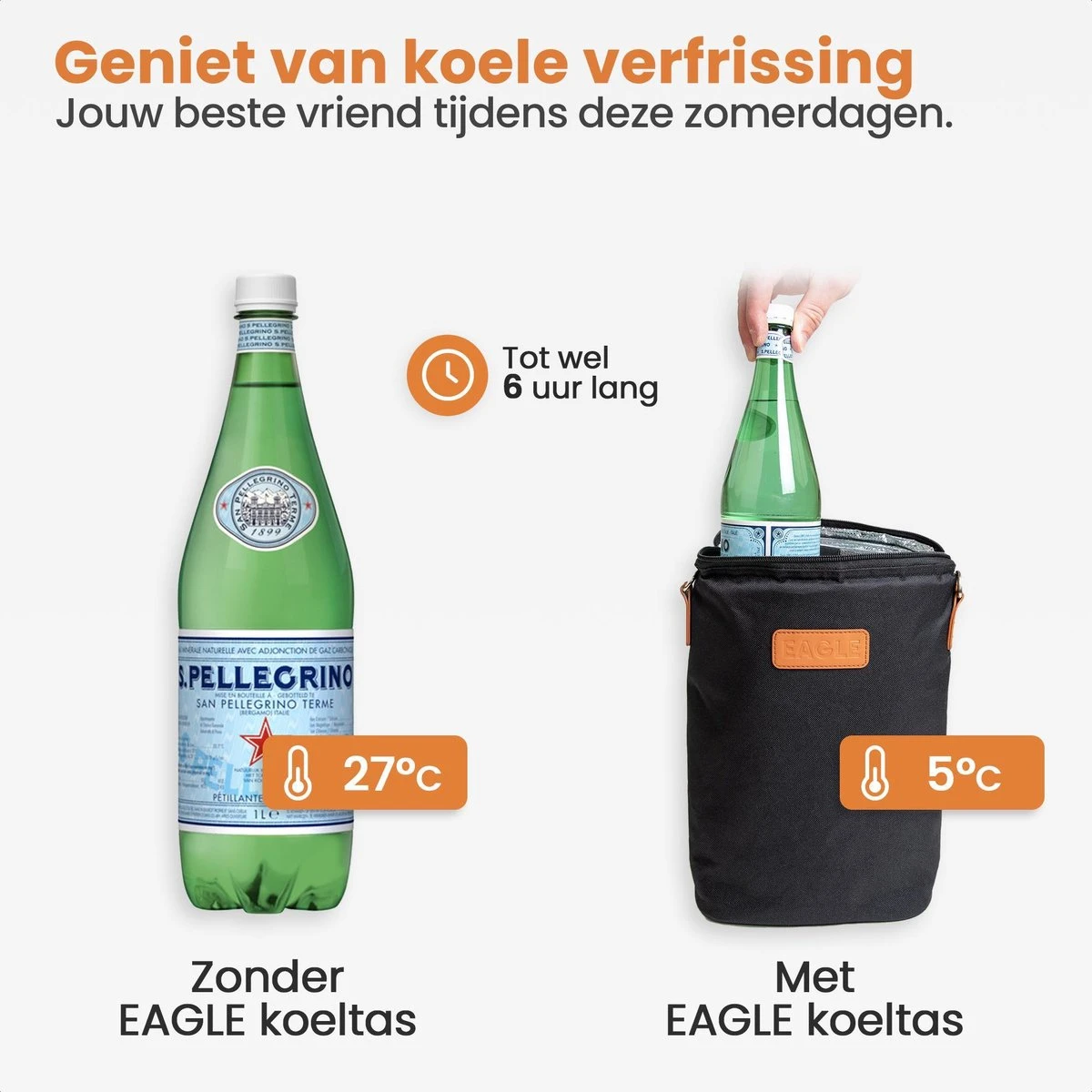 Eagle Koeltas - Compacte Koeltas - Stoffen Tas - Strandtas - Mini Koelbox - Afbeelding 3