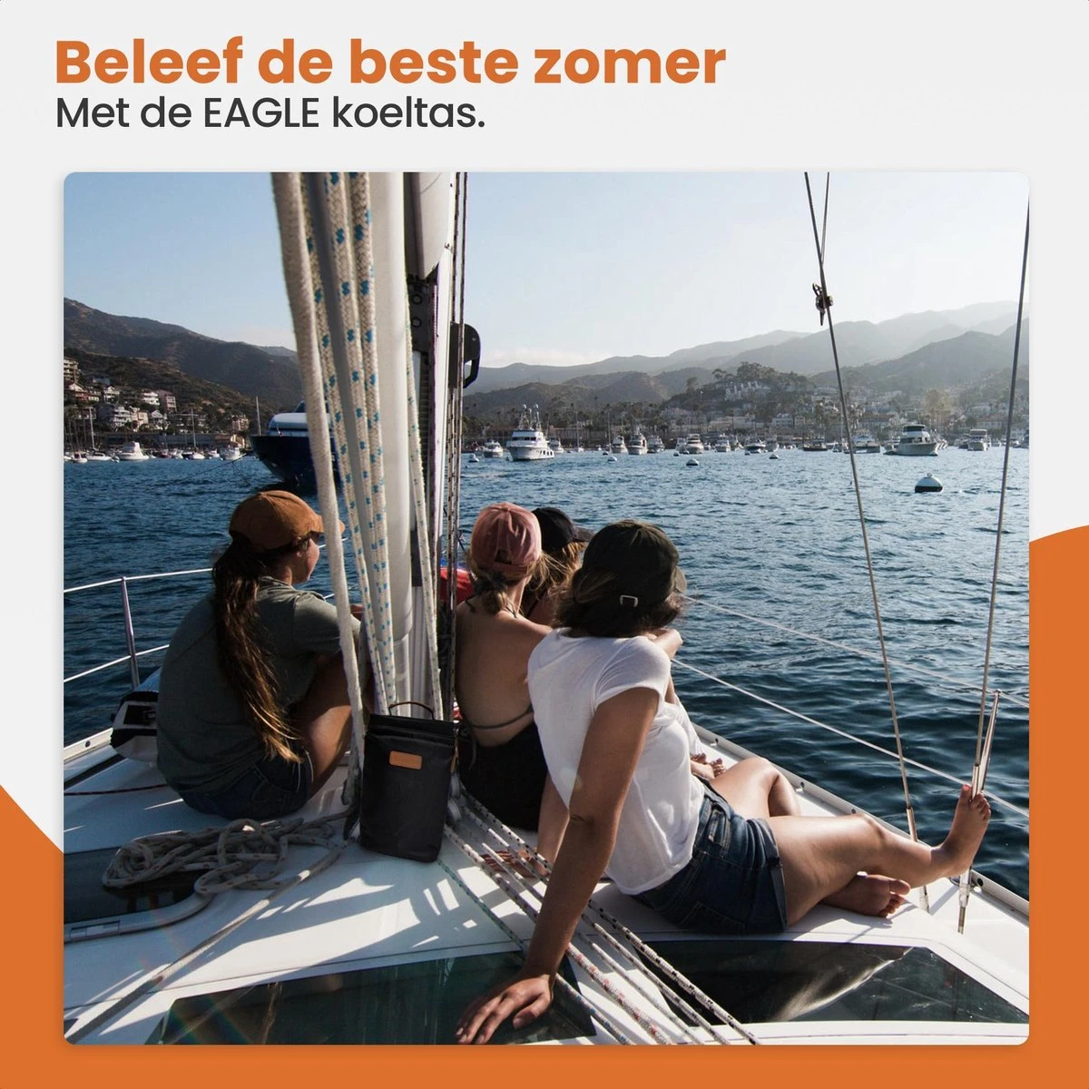 Eagle Koeltas - Compacte Koeltas - Stoffen Tas - Strandtas - Mini Koelbox - Afbeelding 7