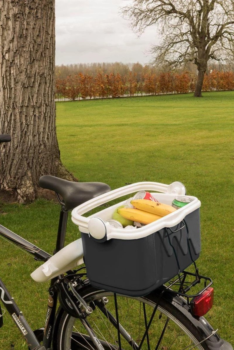 Curver Koelbox - 10L - Grijs - Afbeelding 2